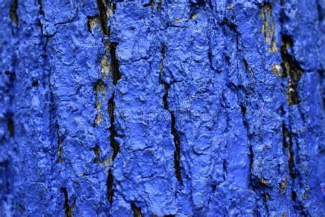 Colored Tree Bark Texture Stock Image Image Of Backgroundnatural 191708319