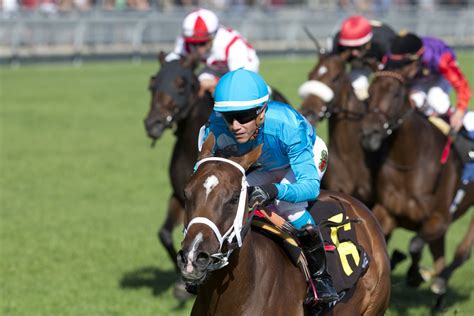 Wilson Breaks Record To Become Highest Earning Female Jockey Of All
