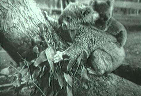 The Blonde Captive Review Pre Code