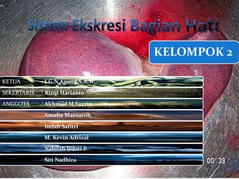 Sistem Ekskresi 1 Ppt