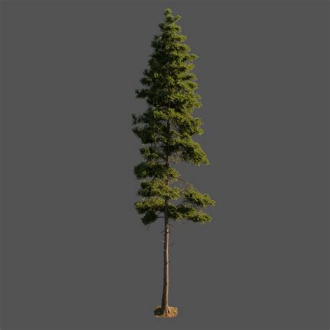 Low Poly Tree Free Trees Models Blenderkit