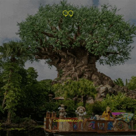 200 Animal Kingdom Captions And Quotes For Instagram With Emojis