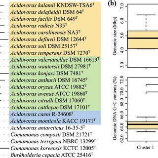 The phylogenetic tree based on the 16S rRNA gene showing the ...
