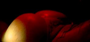 Vintage Porn Gifs Ezgif Crop Porn Pic