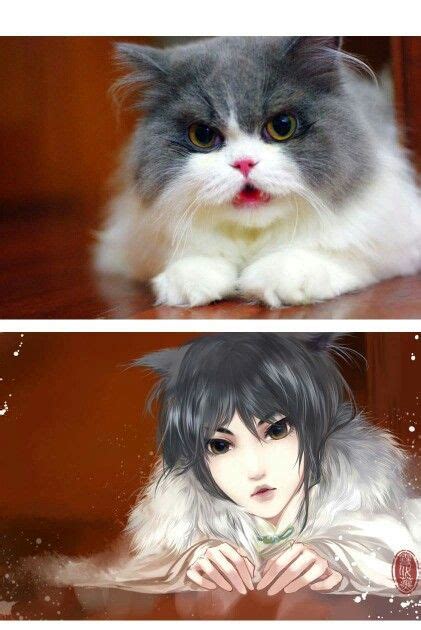 Gatos Humanos 4 Anime Animals Anime Chinese Artists