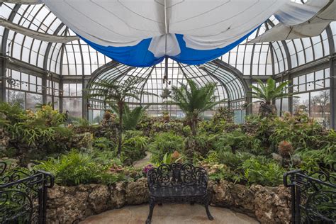 Anna Scripps Whitcomb Conservatory - Photos Post Restoration gallery ...
