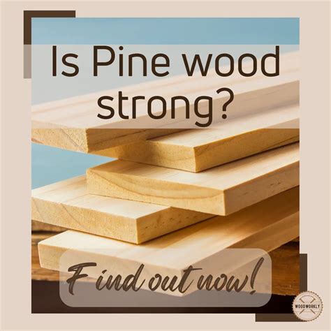 pine wood strong find   truth  guide