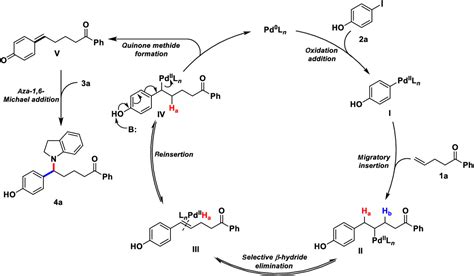 Site Selective Palladium Catalyzed Arylamination Of Terminal