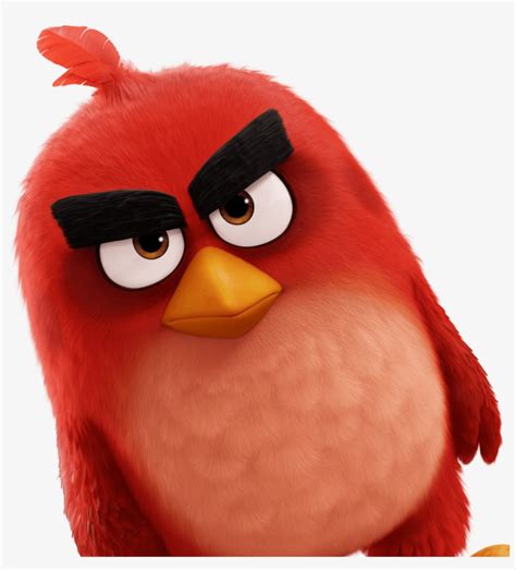 Red - Angry Bird Red Png - Free Transparent PNG Download - PNGkey