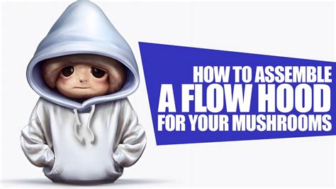 How To Build Your Aussie Mushrooms Flow Hood YouTube