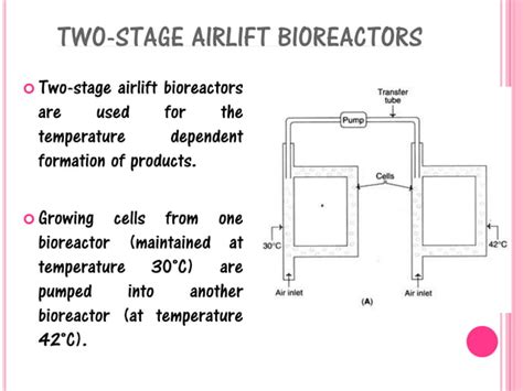 Bioreactors Or Fermenters Ppt