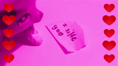 Kady Z: The Mysterious YouTube Personality With a Quirky Character 20