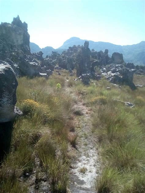 Chimanimani Tour Guide | Hiking Trips