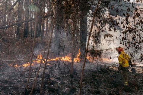 Incendio De Tenerife El Tiempo Da Una Tregua Y Permite Avanzar En El