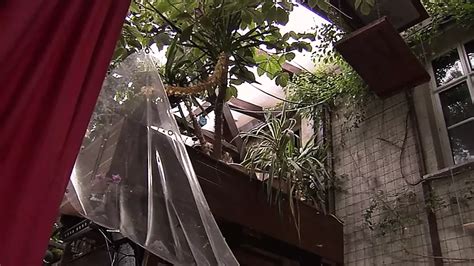 Private Austrian Underground Swingers Club Amateur Porn By Fun Movies Channel Xhamster