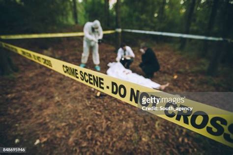 205 Woods Crime Scene Stock Photos High Res Pictures And Images