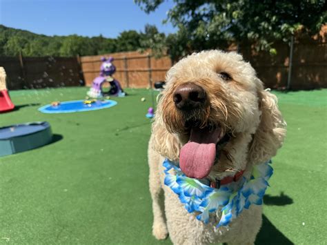 Roller-Christeson Funeral Home Recent Obituaries and Services 19