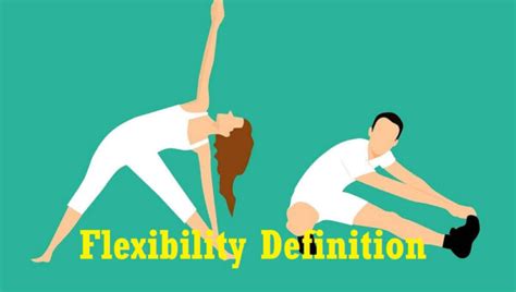 flexibility definition  types  benefits