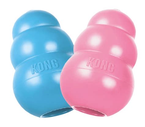 Seeing a dog and Kong interaction revealed a surprising behavior 7