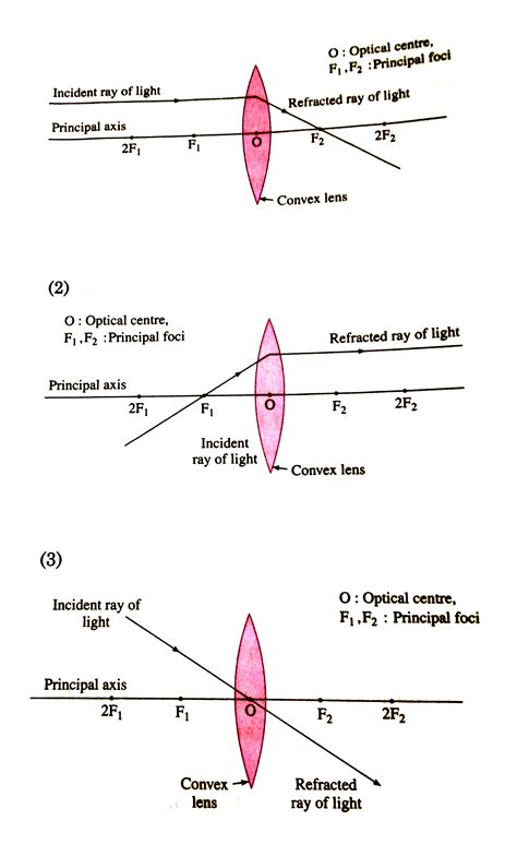 In the case of a convex lens, show the path of the refraction ray when