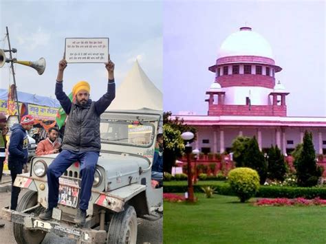 Stricter farm laws will follow the recent capture of the manteca bull 1