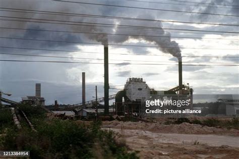 37 Linden Guyana Stock Photos, High-Res Pictures, and Images - Getty Images