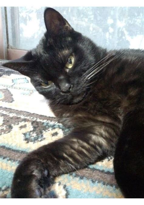 Cover for An old adventurer drinking alone in a corner of the guild