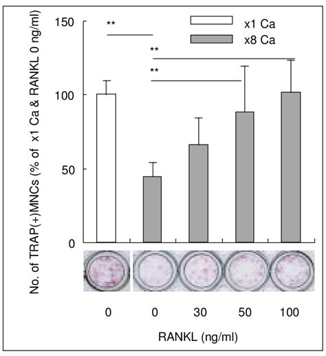 Effects Of Rankl On The High Ca And D Induced Trap Mncs High Ca