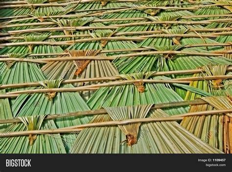 Palm Leaf Roof