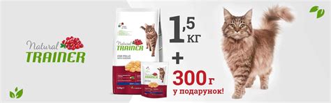 Зоотовары, товары для животных. Зоомагазин Рыжий Кот