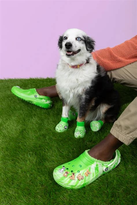 Crocs Teamed Up With Bark To Make Clogs For Dogs Fast Company