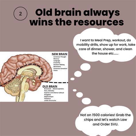 3 Reasons People Fail To Reach Their Goals — Neuro Train