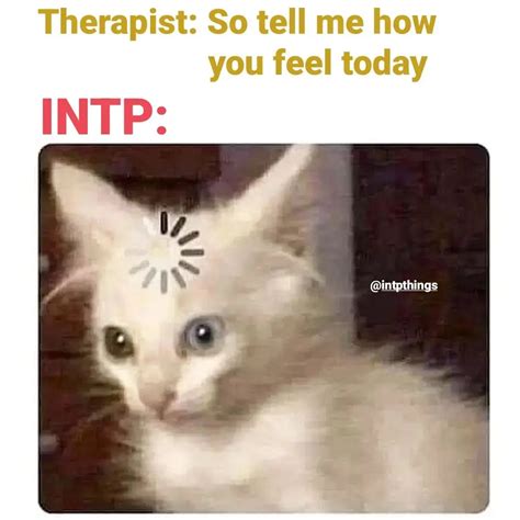 27+ INTP Memes That Will Make You Chuckle
