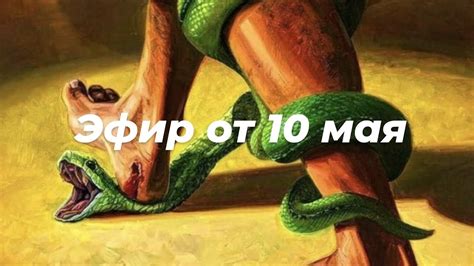 ЖИЗНЬ В СИСТЕМЕ. ТРАСТЫ - YouTube