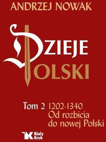 Dzieje Polski Tom 2 Od Rozbicia Do Nowej Polski Ceny I Opinie