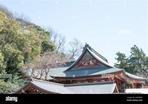 kamakura japan roof  tsurugaoka hachimangu shrine  kamakura