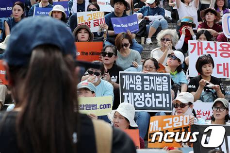 개식용 금지법 제정 호소하는 동물보호단체 뉴스1