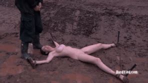 My Hot Collection Bdsmlr 9861767 8ArFoXtF1H Porn Pic