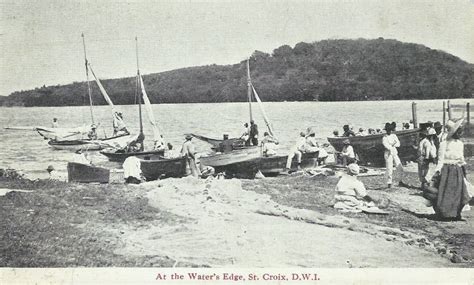 St. Croix, USVI | Us virgin islands, Island, Virgin islands