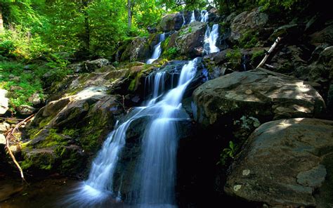 Forest Waterfall Wallpapers - Wallpaper Cave