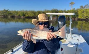 Mosquito Lagoon Fishing Report Indian River Lagoon Fishing Report St