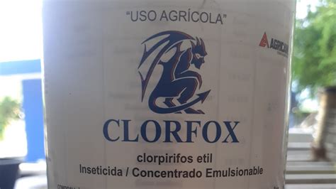 Para Que Sirve Clorpirifos Etil YouTube