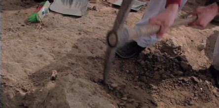 Naked Archaeologist Vision TV Channel Canada