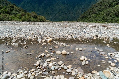 Rivers of the Amazon rainforest with green landscape Stock Photo ...