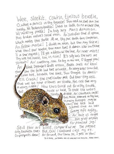 To A Mouse Robert Burns Mounted Print From Original Pen Sketch Etsy