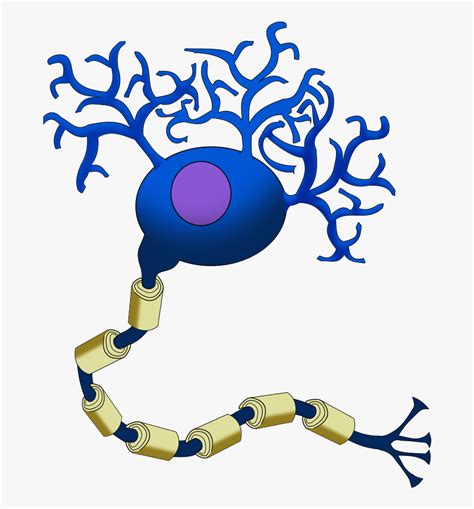 Neuron Cartoon Neurotransmitter Filled Vesicles Neurons Free