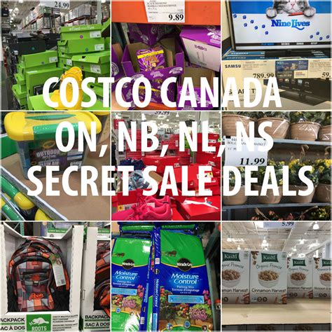 Secret deals at costco wholesale new jersey 23 wayne nj store 10