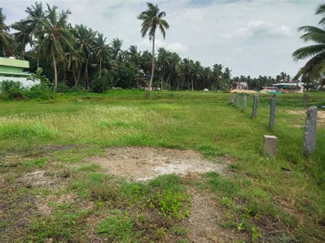 Agricultural Land Cent For Sale In Razole East Godavari Rei