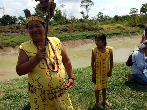 Indigenous Women in the Peruvian Amazon Are Leading the Fight for ...