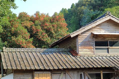 Investing in Akiya, an Abandoned House, in Japan | SME Japan | Business ...